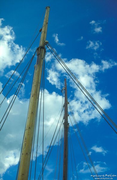 Holzmasten vor blauem Himmel, Holzboote, alter Hafen von Born, Darß, Zingst, Deutschland