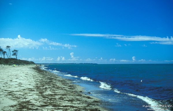 Darßer Weststrand, rauhe See, Darß, Zingst, Deutschland