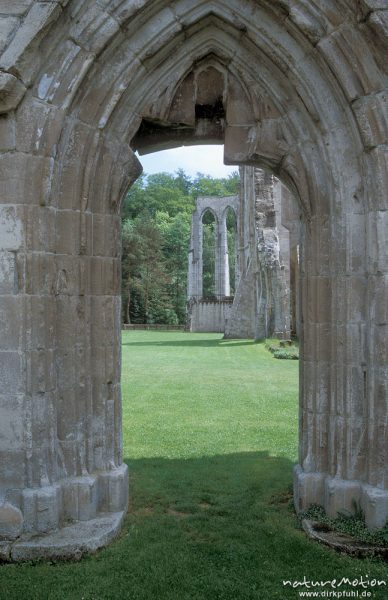 Portal Kirchenruine Kloster Walkenried, Harz, Deutschland