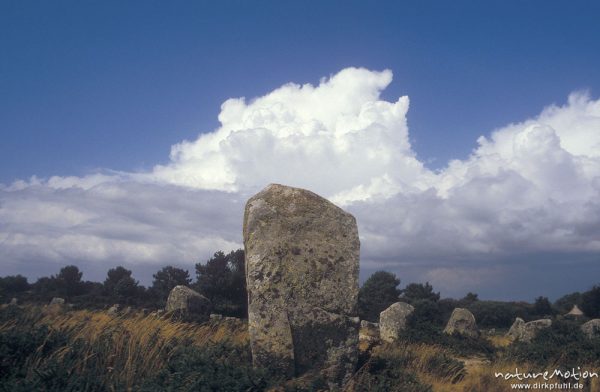 Menhirereihe, Carnac, Menhire von Menec, Bretagne, Frankreich