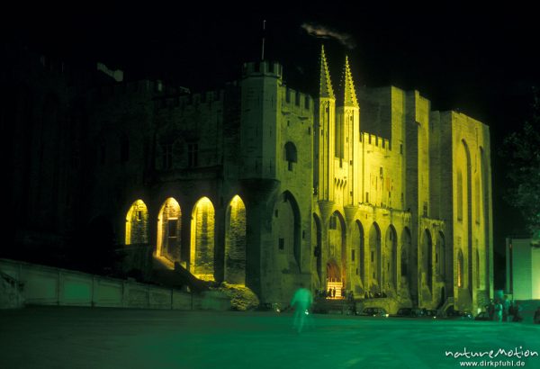 Avignon, Papstpalast, nächtliche Beleuchtung, Skater, Avignon, Frankreich