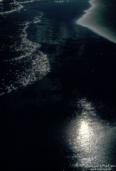 Lichtspiel, reflektierendes Sonnenlicht auf nassem Sand, Saint-Maries-de- la-Mer, , Frankreich