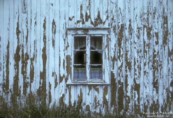 Fenster und Holzfassade mit abblätterndem Lack, Steine, Lofoten, Lofoten, Norwegen