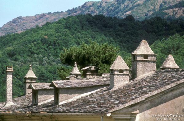 Dach mit Schindeln aus Naturstein und gemauerten Schornsteinen, Castagniccia, Korsika, Frankreich