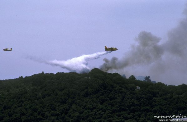 Löschflugzeug im Einsatz, Canadair, Ajaccio, Korsika, Frankreich