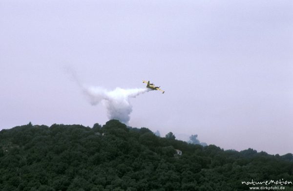 Löschflugzeug im Einsatz, Canadair, Ajaccio, Korsika, Frankreich