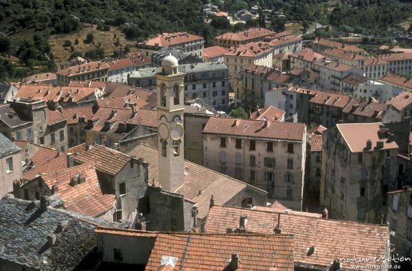 Altstadt und Dächer von Corte, Blick von der Zitadelle, Korsika, Frankreich