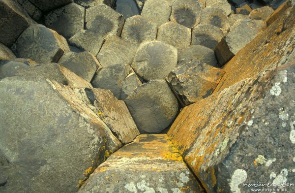 Basaltsäulen, Giants Causeway, Antrim Coast, Giants Causeway, Irland